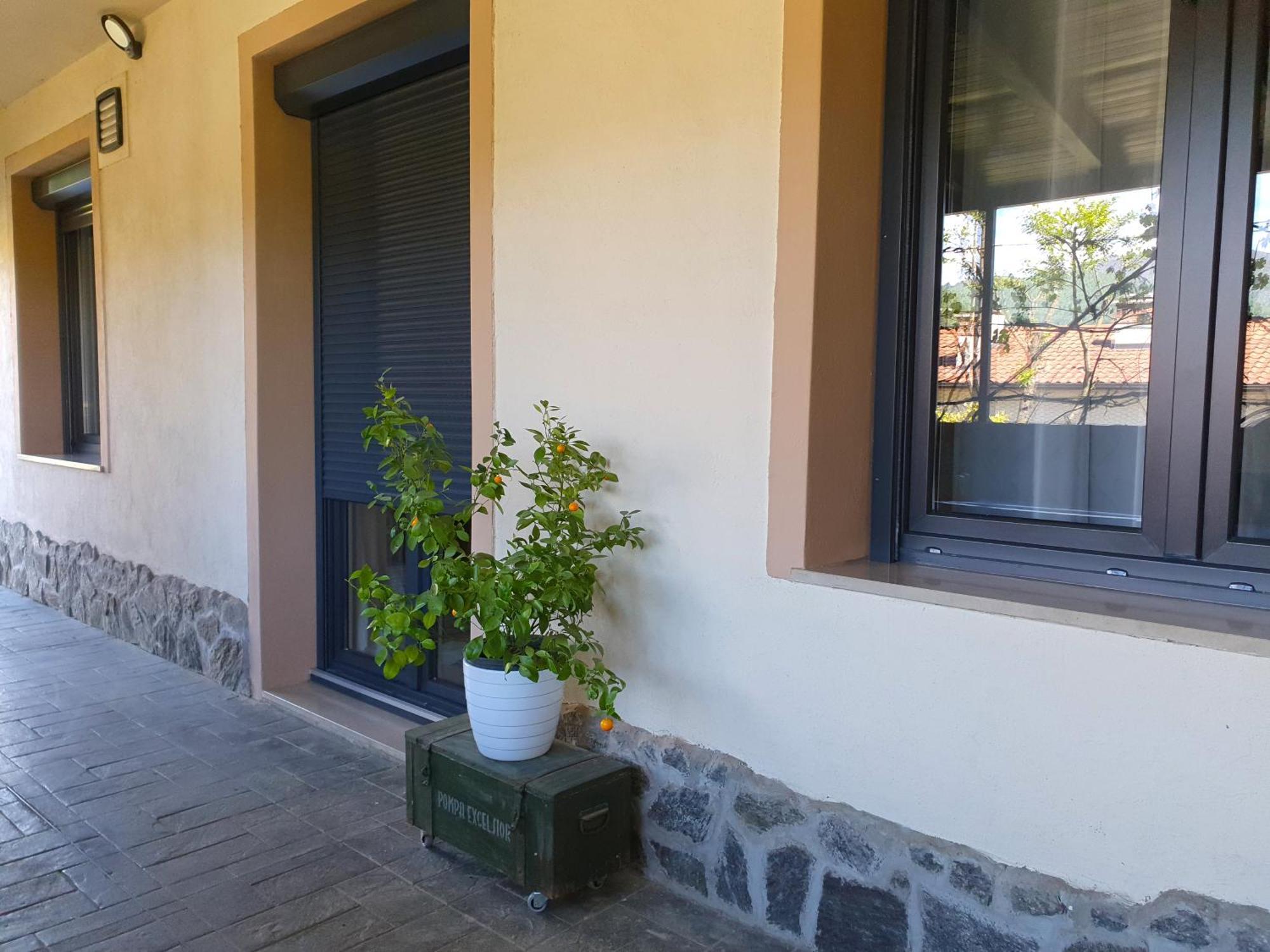 Apartment With Terrace Nona Pavla Tolmin Exterior foto