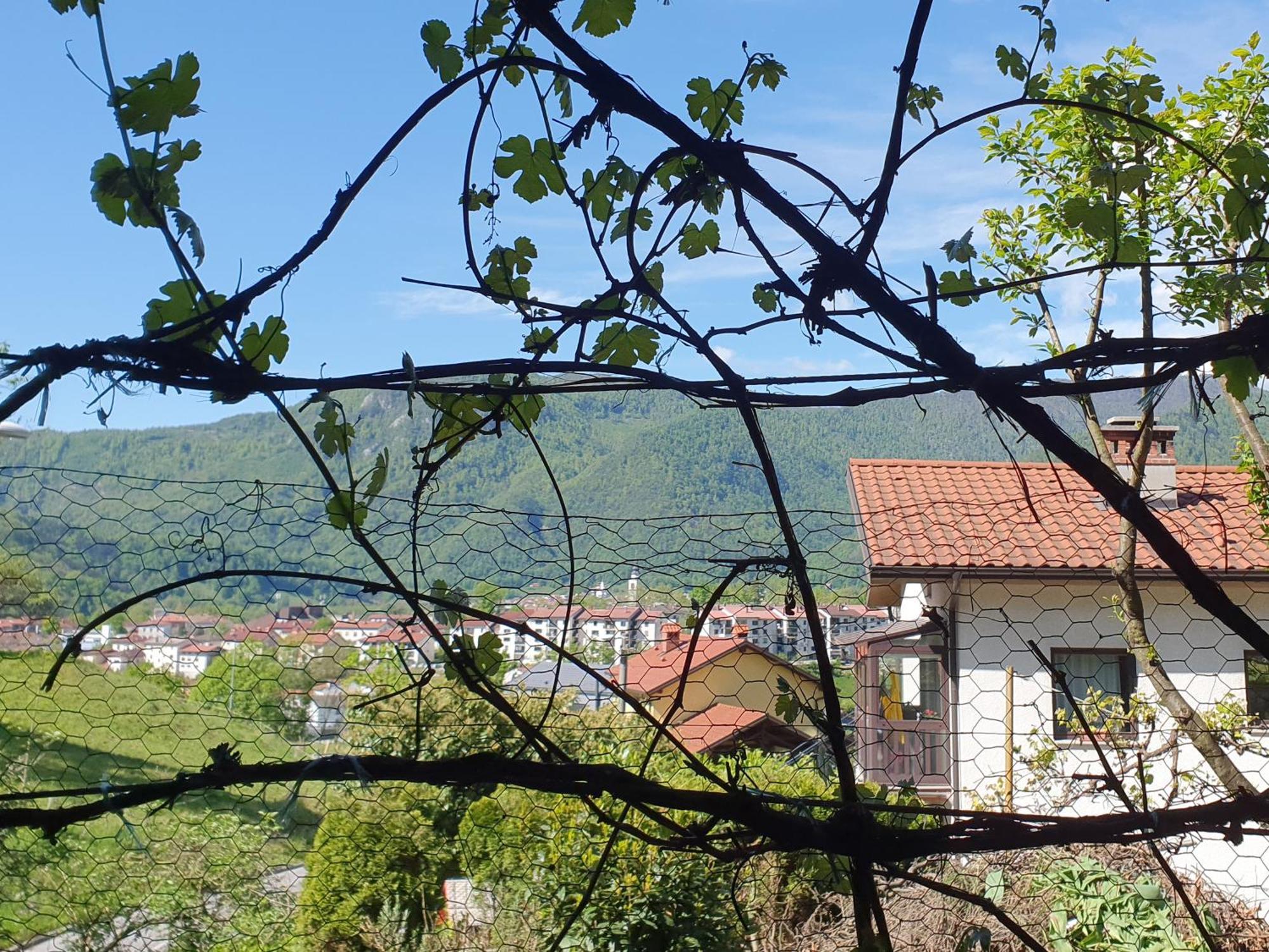 Apartment With Terrace Nona Pavla Tolmin Exterior foto